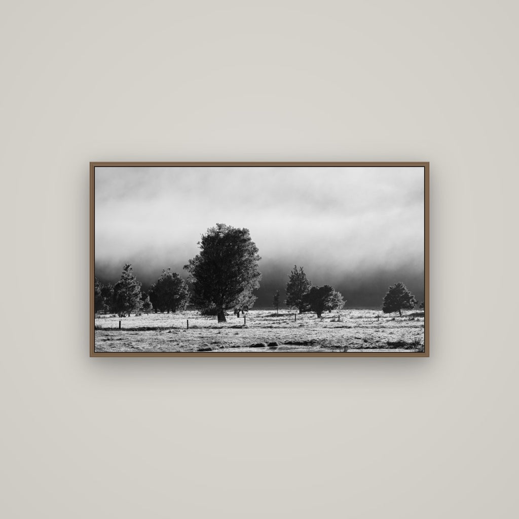 Morning Mist, Fox Valley, Basel Walnut, 107×60 cm. New Zealand fine art wall art by Stephen Milner.