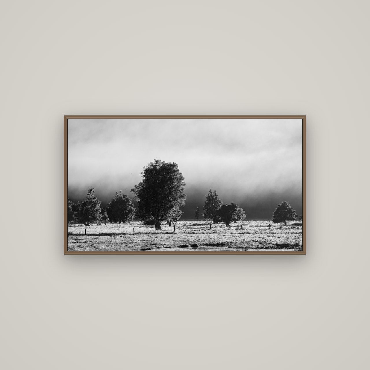 Morning Mist, Fox Valley, Basel Walnut, 107×60 cm. New Zealand fine art wall art by Stephen Milner.