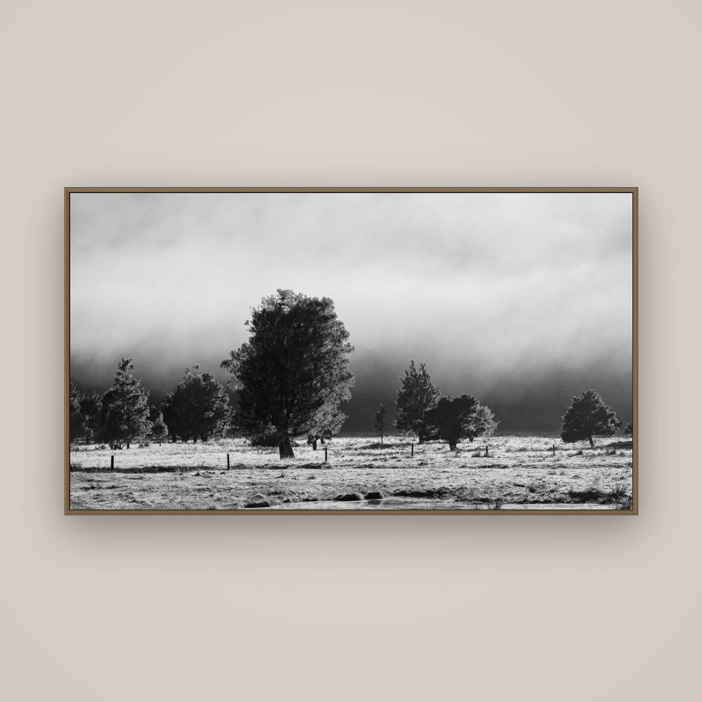 Morning Mist, Fox Valley, Basel Walnut, 160×90 cm. New Zealand fine art wall art by Stephen Milner.