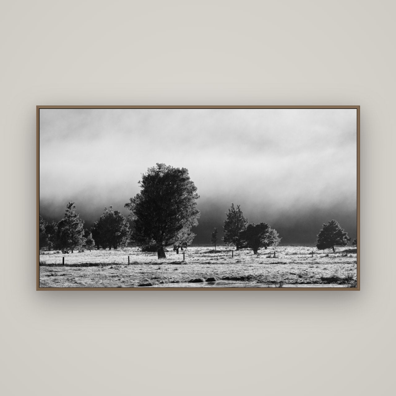 Morning Mist, Fox Valley, Basel Walnut, 160×90 cm. New Zealand fine art wall art by Stephen Milner.