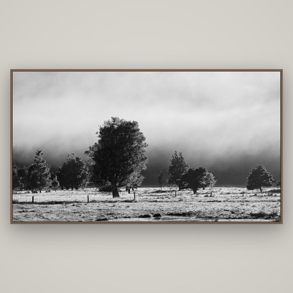 Morning Mist, Fox Valley, Basel Walnut, 196×110 cm. New Zealand fine art wall art by Stephen Milner.