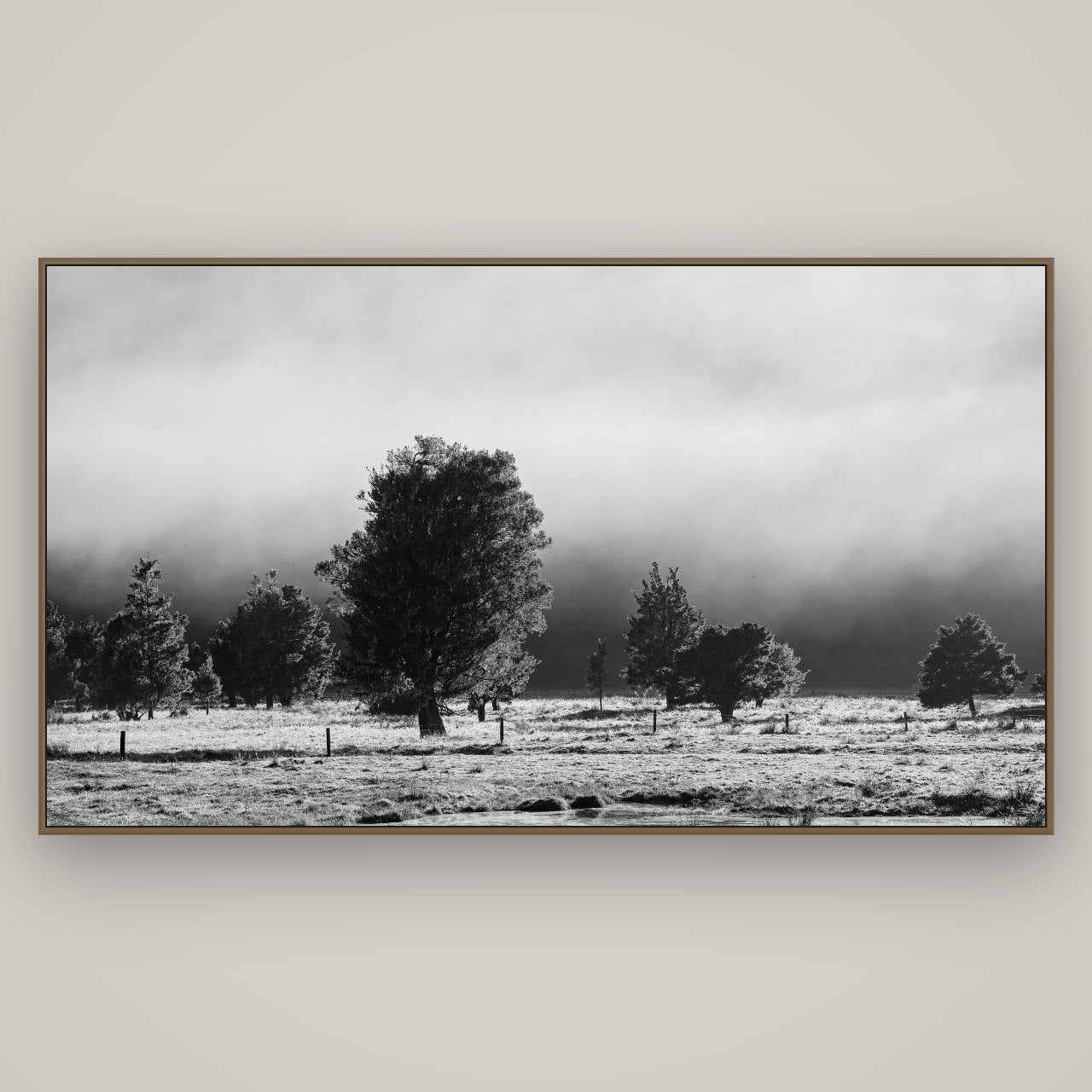 Morning Mist, Fox Valley, Basel Walnut, 196×110 cm. New Zealand fine art wall art by Stephen Milner.