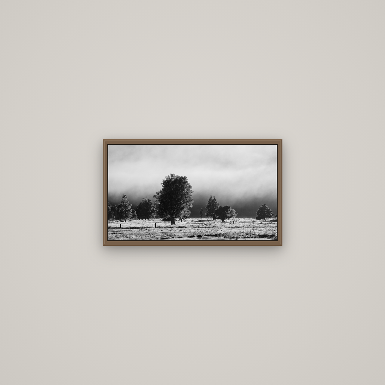 Morning Mist, Fox Valley, Basel Walnut, 53×30 cm. New Zealand fine art wall art by Stephen Milner.