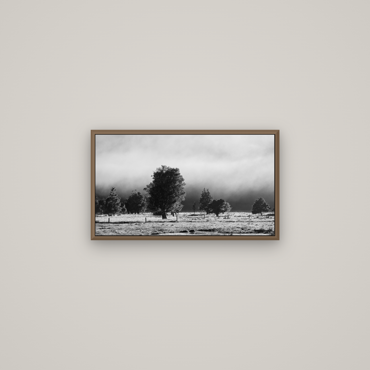 Morning Mist, Fox Valley, Basel Walnut, 64×36 cm. New Zealand fine art wall art by Stephen Milner.