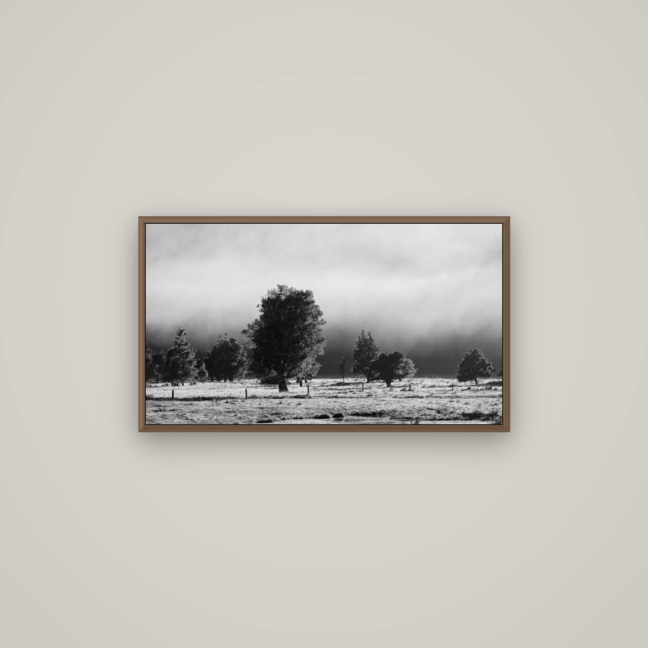 Morning Mist, Fox Valley, Basel Walnut, 80×45 cm. New Zealand fine art wall art by Stephen Milner.