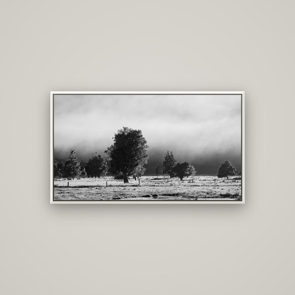 Morning Mist, Fox Valley — Basel White, 107×60 cm. New Zealand fine art wall art by Stephen Milner.