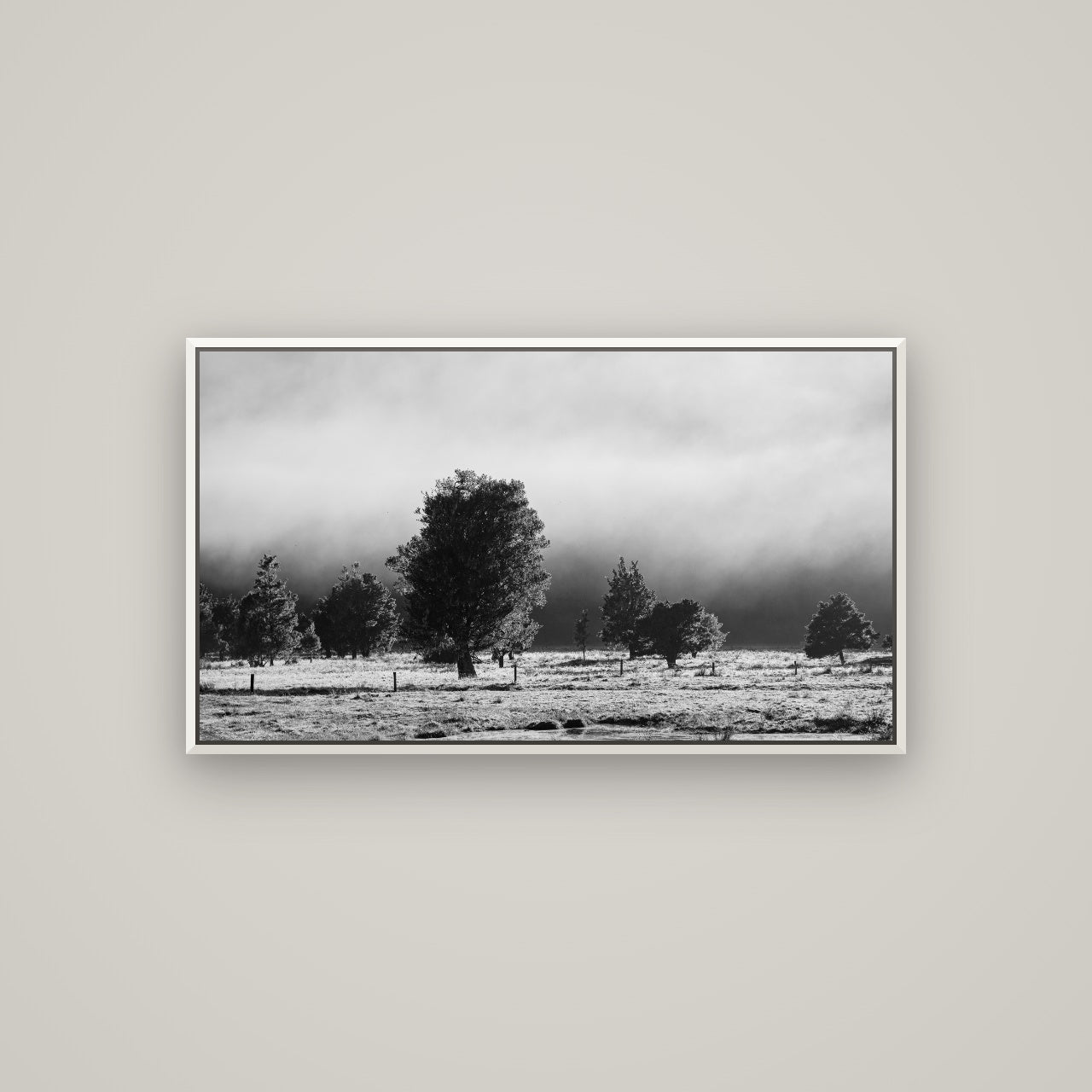 Morning Mist, Fox Valley — Basel White, 107×60 cm. New Zealand fine art wall art by Stephen Milner.