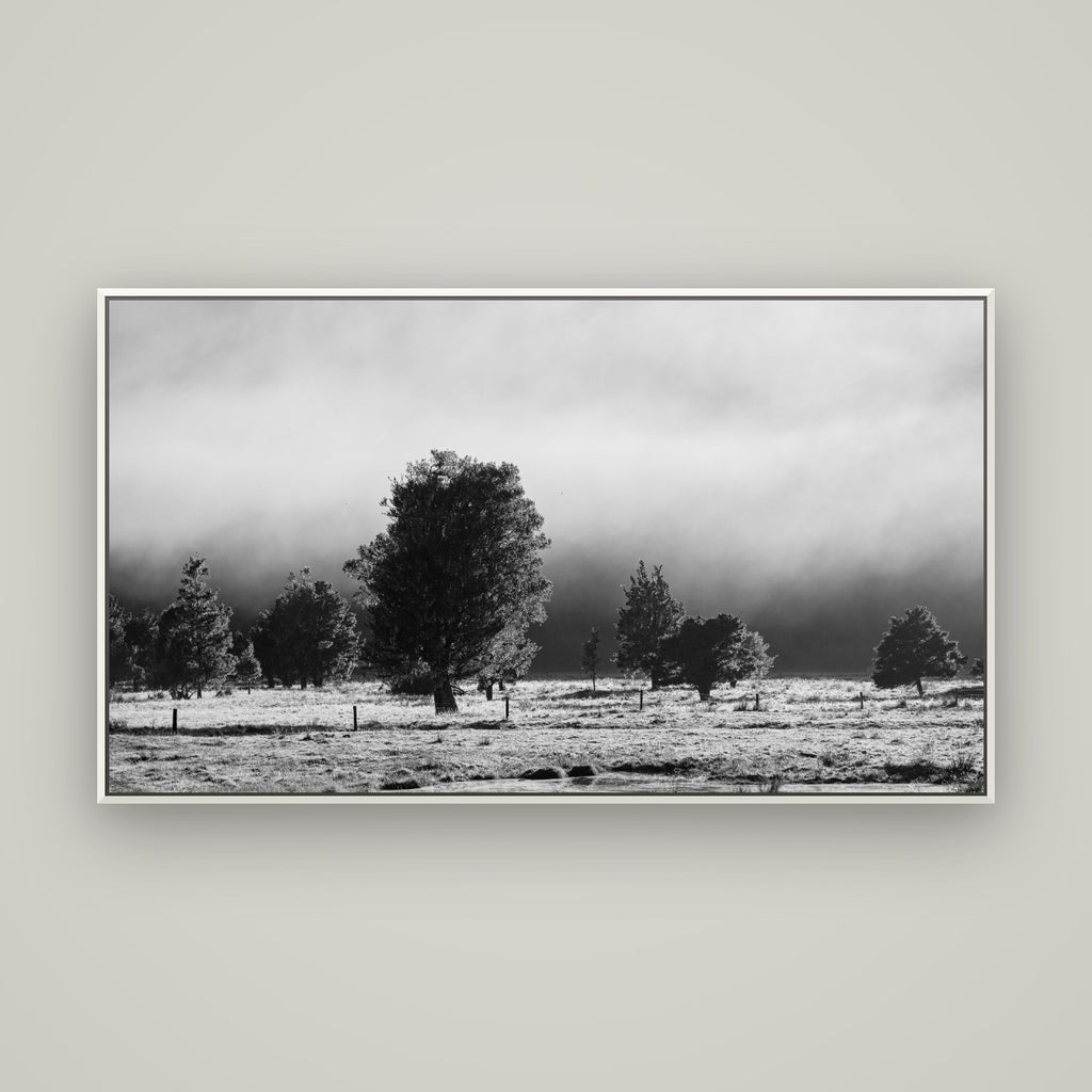 Morning Mist, Fox Valley — Basel White, 160×90 cm. New Zealand fine art wall art by Stephen Milner.
