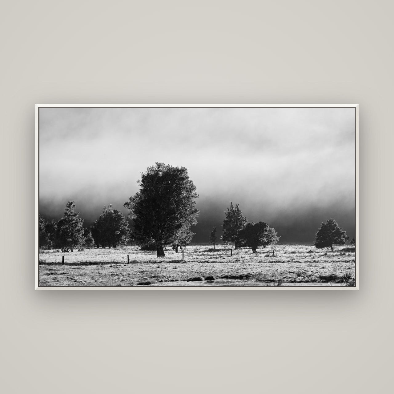 Morning Mist, Fox Valley — Basel White, 160×90 cm. New Zealand fine art wall art by Stephen Milner.