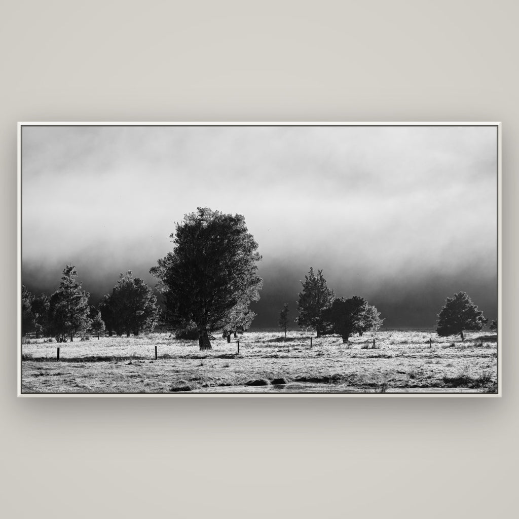Morning Mist, Fox Valley — Basel White, 196×110 cm. New Zealand fine art wall art by Stephen Milner.