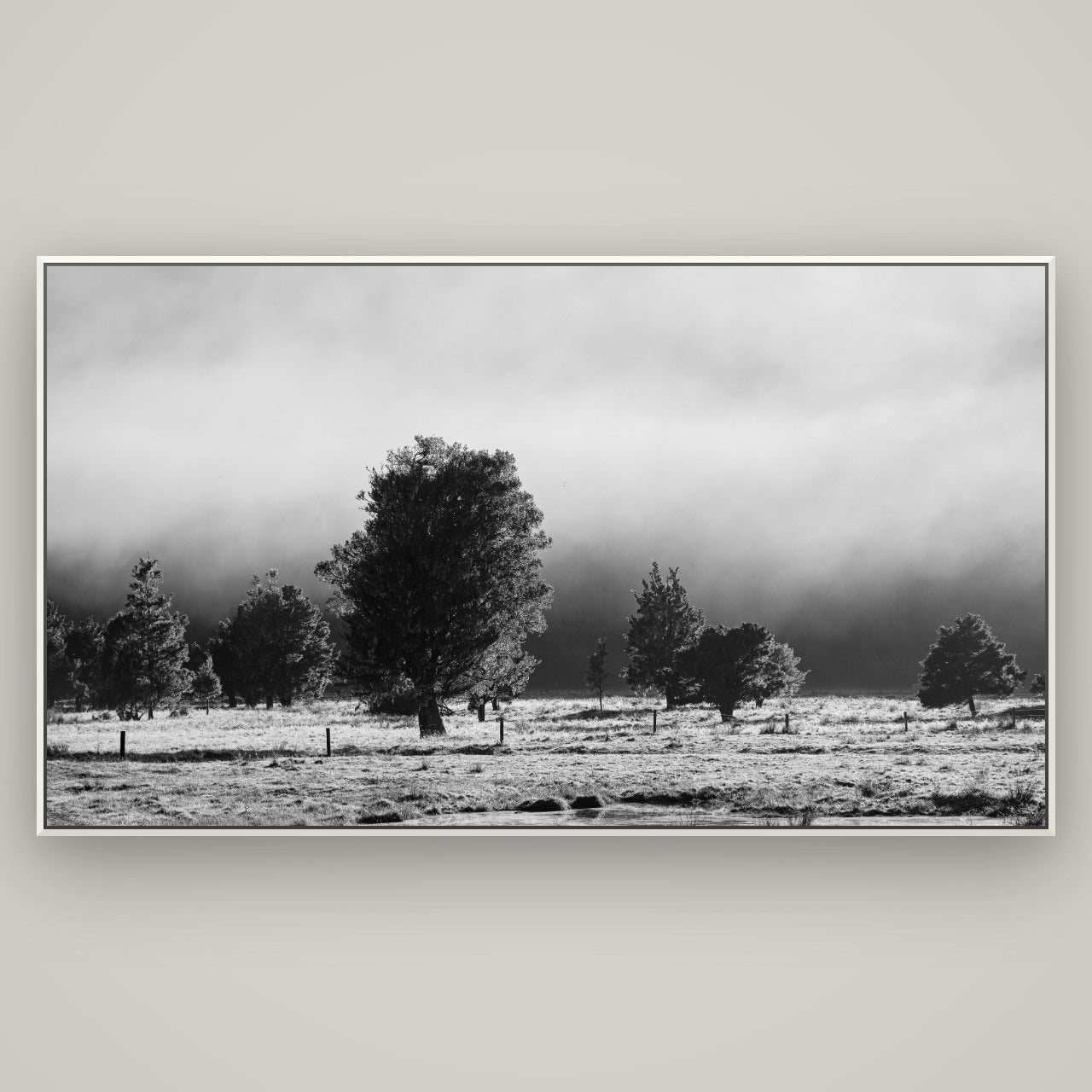 Morning Mist, Fox Valley — Basel White, 196×110 cm. New Zealand fine art wall art by Stephen Milner.