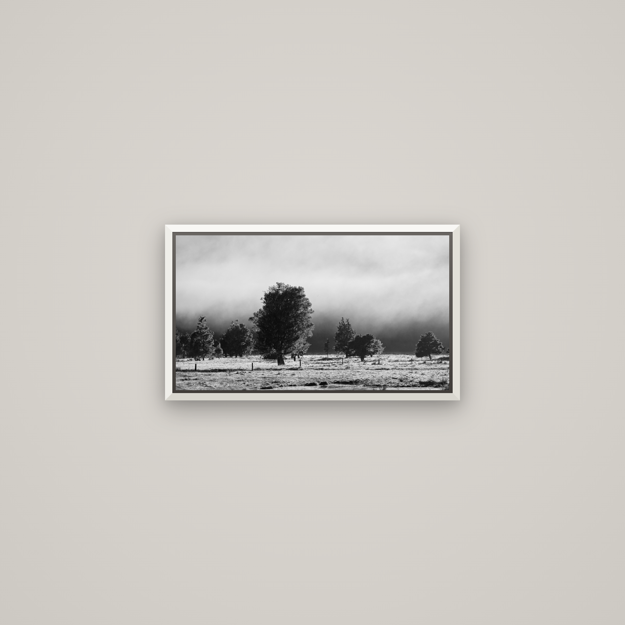 Morning Mist, Fox Valley — Basel White, 53×30 cm. New Zealand fine art wall art by Stephen Milner.