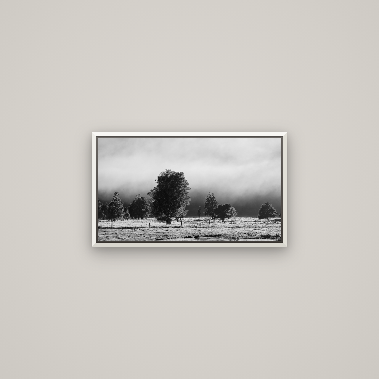 Morning Mist, Fox Valley — Basel White, 64×36 cm. New Zealand fine art wall art by Stephen Milner.