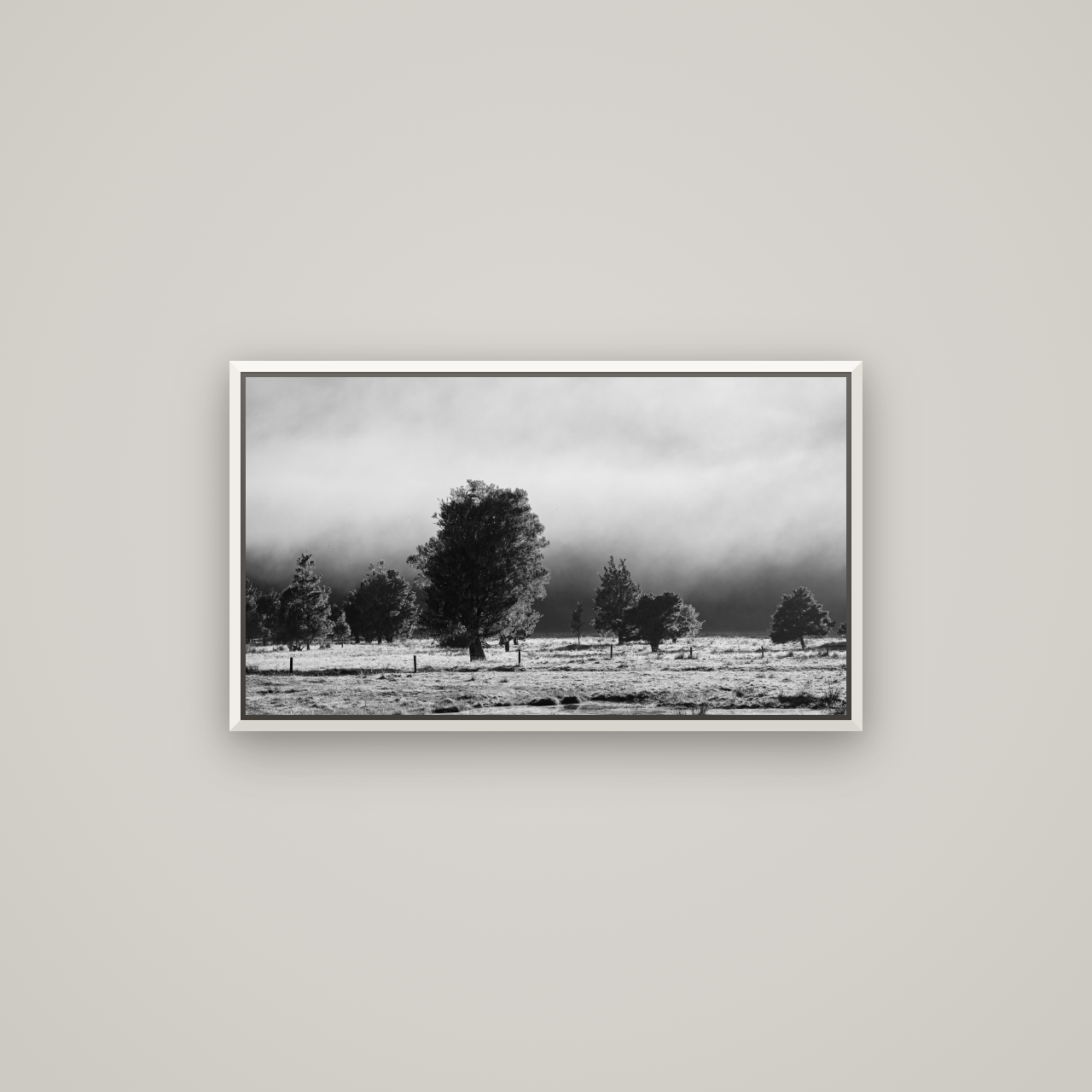Morning Mist, Fox Valley — Basel White, 80×45 cm. New Zealand fine art wall art by Stephen Milner.