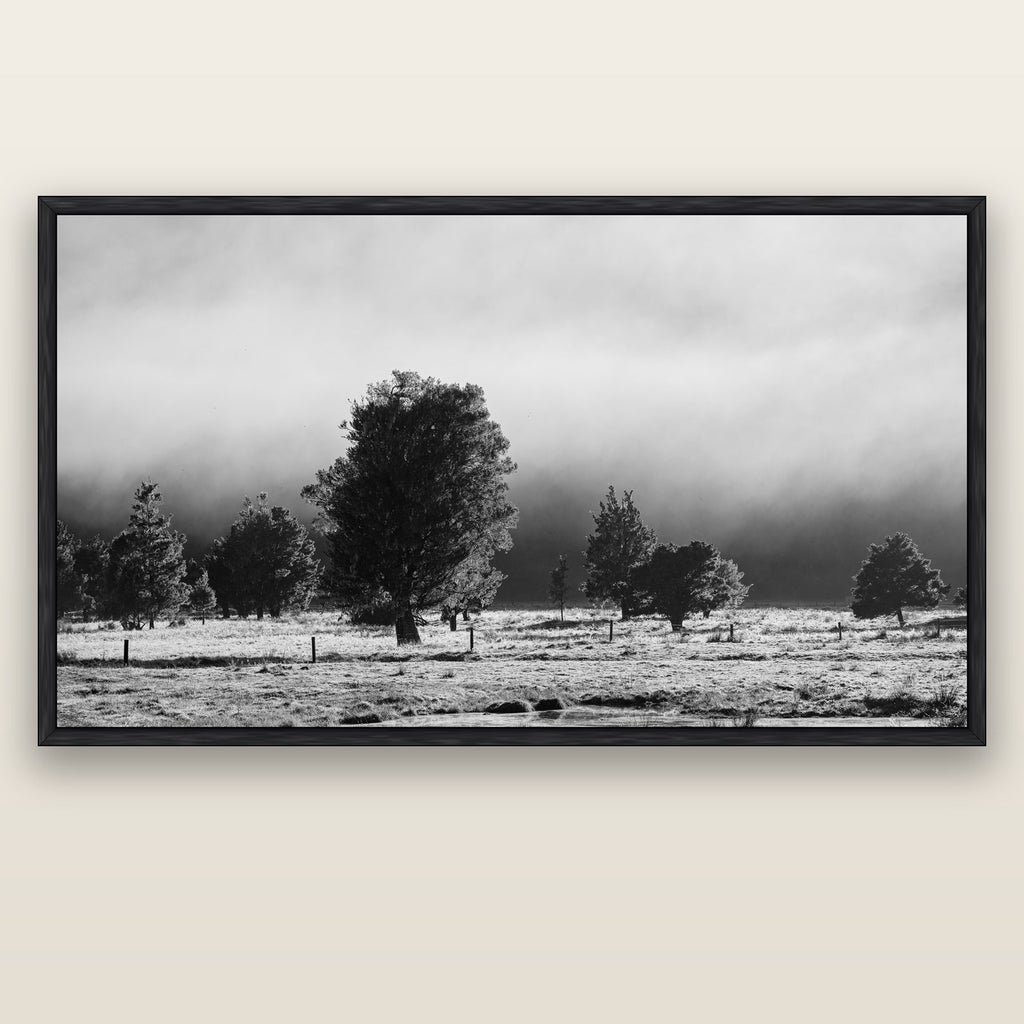 Morning Mist, Fox Valley — black float frame canvas, 200 × 130 cm. New Zealand fine art landscape wall art by Stephen Milner.