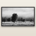 Morning Mist, Fox Valley — black float frame canvas, 200 × 130 cm. New Zealand fine art landscape wall art by Stephen Milner.
