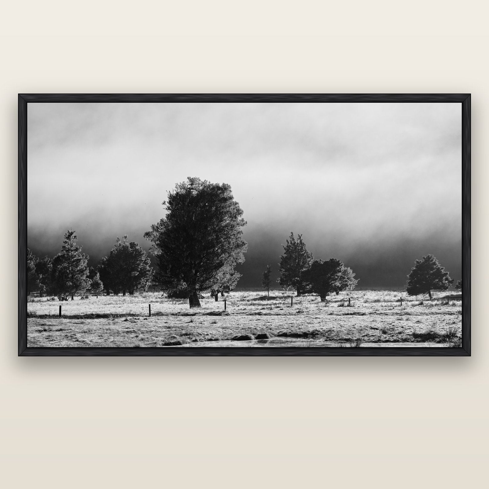 Morning Mist, Fox Valley — black float frame canvas, 200 × 130 cm. New Zealand fine art landscape wall art by Stephen Milner.