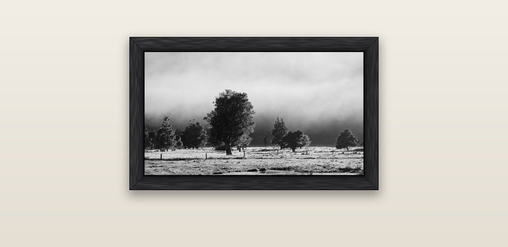 Morning Mist, Fox Valley — black float frame canvas, 61 × 36 cm. New Zealand fine art landscape wall art by Stephen Milner.