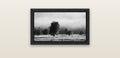 Morning Mist, Fox Valley — black float frame canvas, 61 × 36 cm. New Zealand fine art landscape wall art by Stephen Milner.