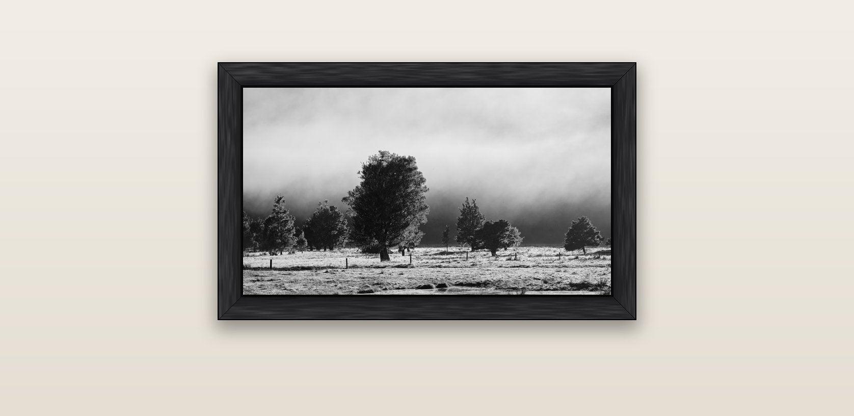 Morning Mist, Fox Valley — black float frame canvas, 61 × 36 cm. New Zealand fine art landscape wall art by Stephen Milner.