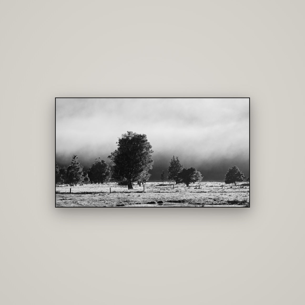 Morning Mist, Fox Valley — Slimline Black, 107×60 cm. New Zealand fine art wall art by Stephen Milner.
