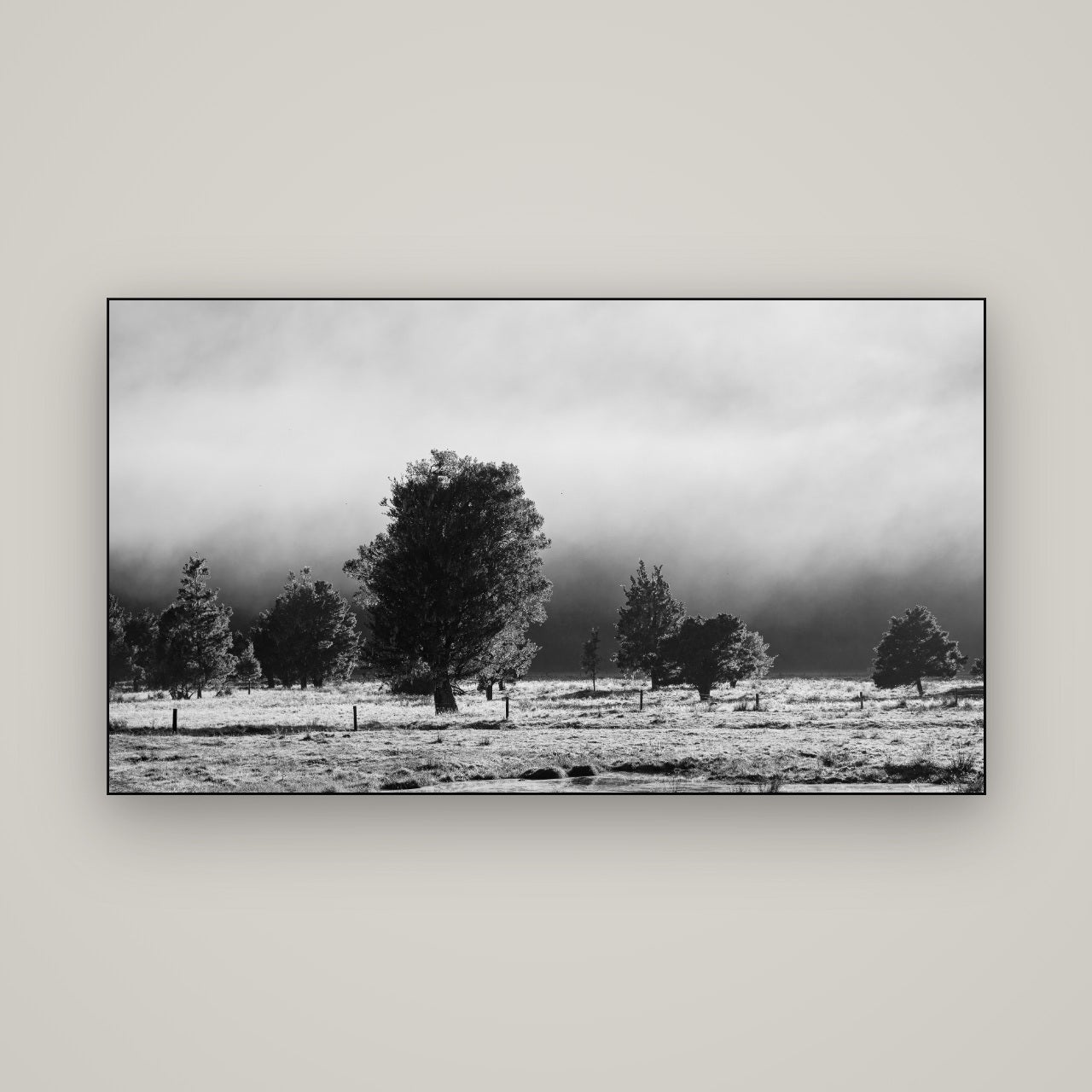 Morning Mist, Fox Valley — Slimline Black, 160×90 cm. New Zealand fine art wall art by Stephen Milner.