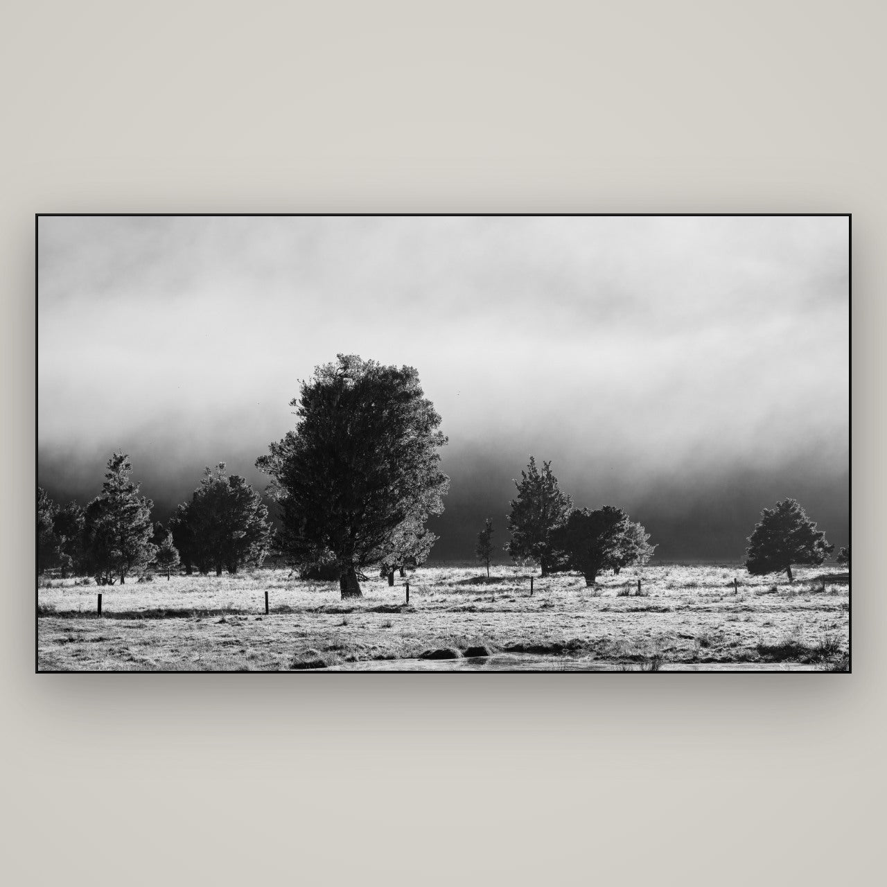 Morning Mist, Fox Valley — Slimline Black, 196×110 cm. New Zealand fine art wall art by Stephen Milner.