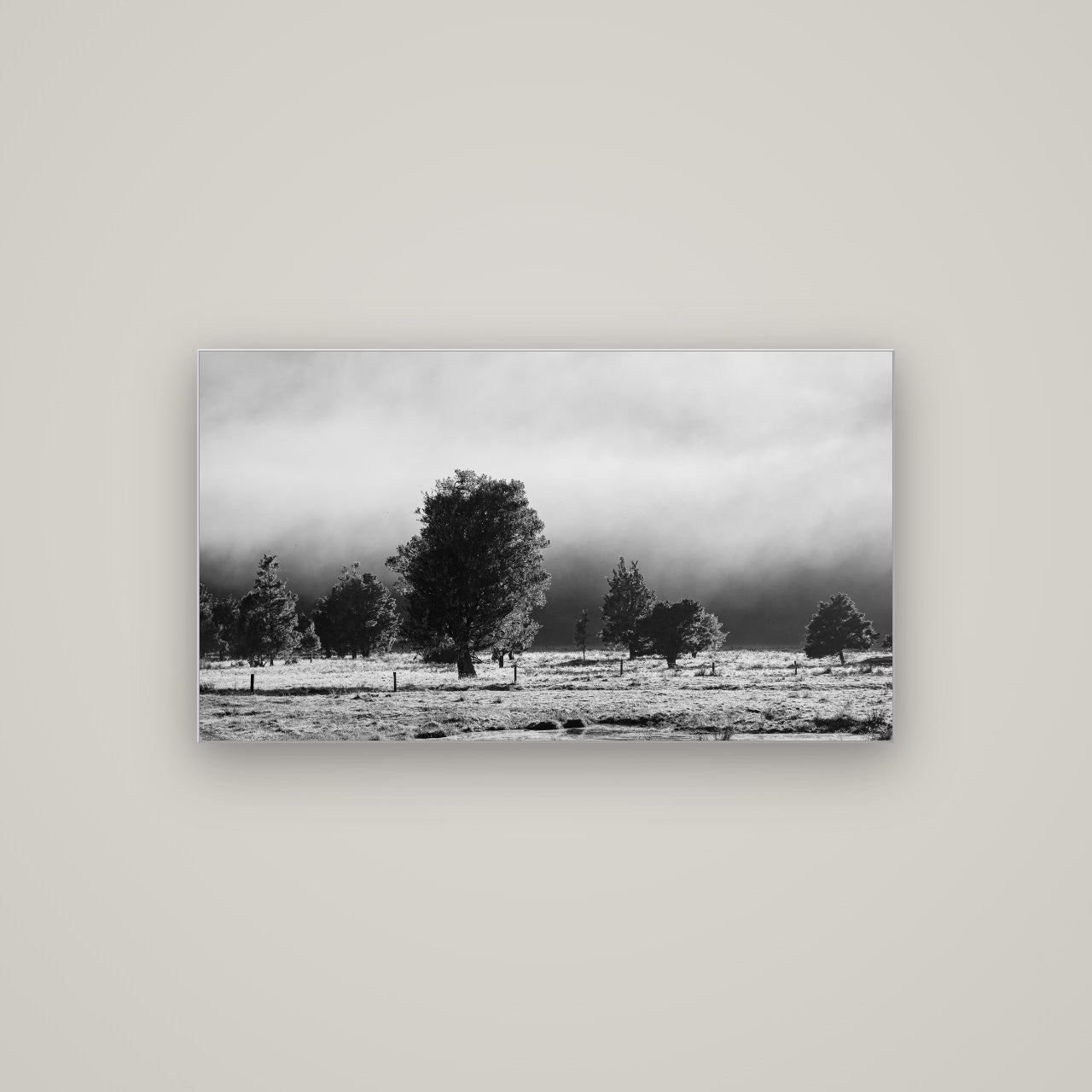 Morning Mist, Fox Valley — Slimline Silver, 107×60 cm. New Zealand fine art wall art by Stephen Milner.