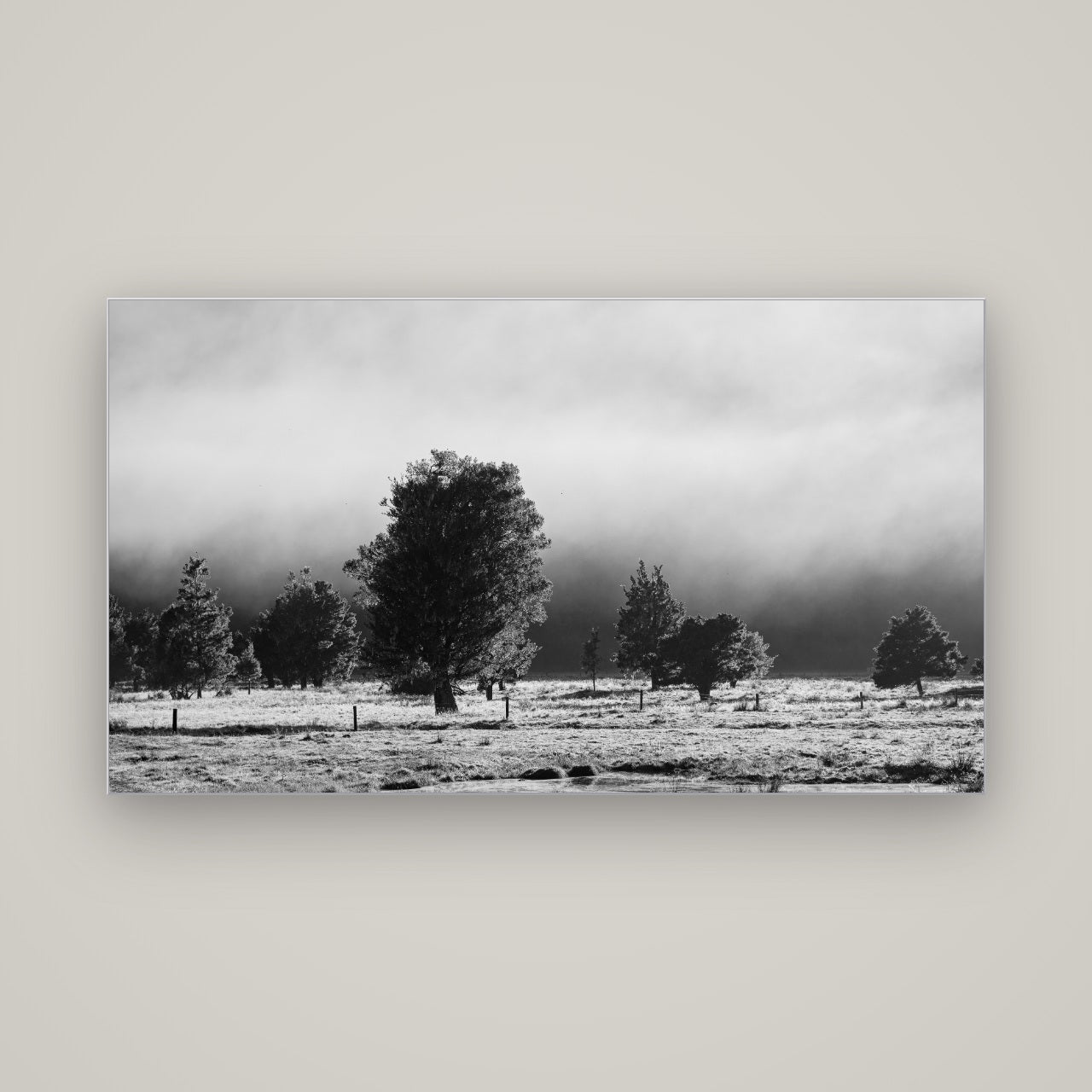 Morning Mist, Fox Valley — Slimline Silver, 160×90 cm. New Zealand fine art wall art by Stephen Milner.
