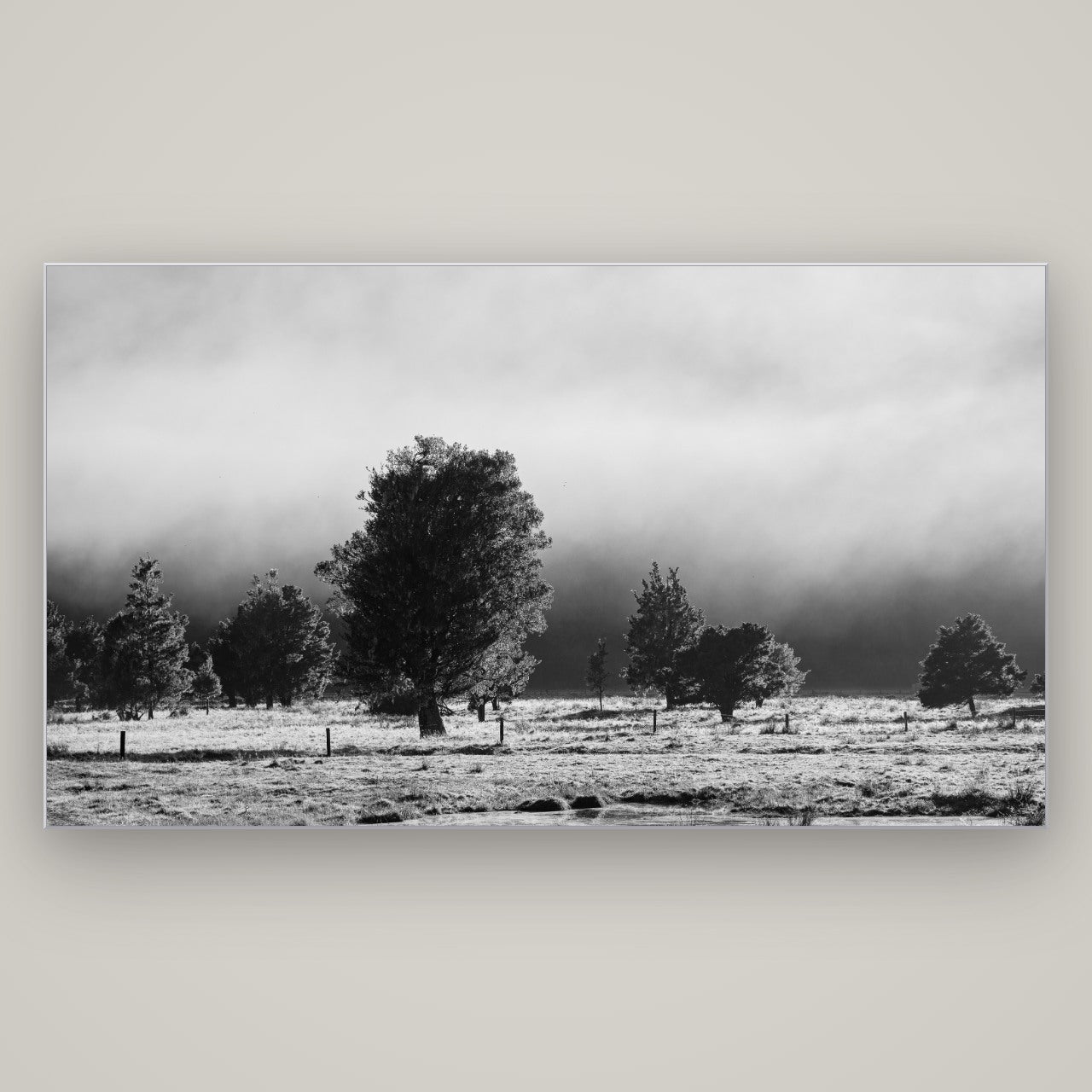 Morning Mist, Fox Valley — Slimline Silver, 196×110 cm. New Zealand fine art wall art by Stephen Milner.
