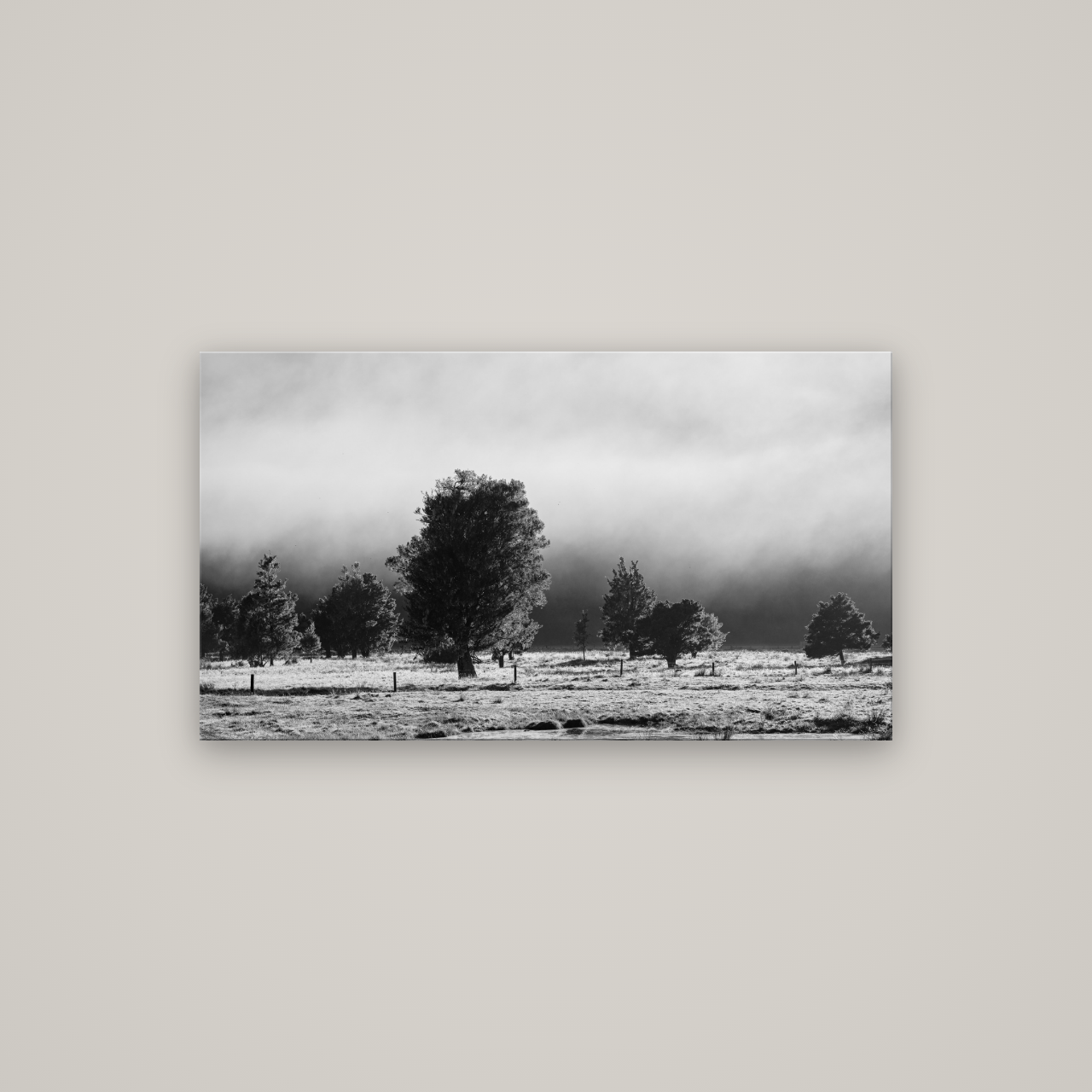 Morning Mist, Fox Valley — No frame, 107×60 cm. New Zealand fine art wall art by Stephen Milner.