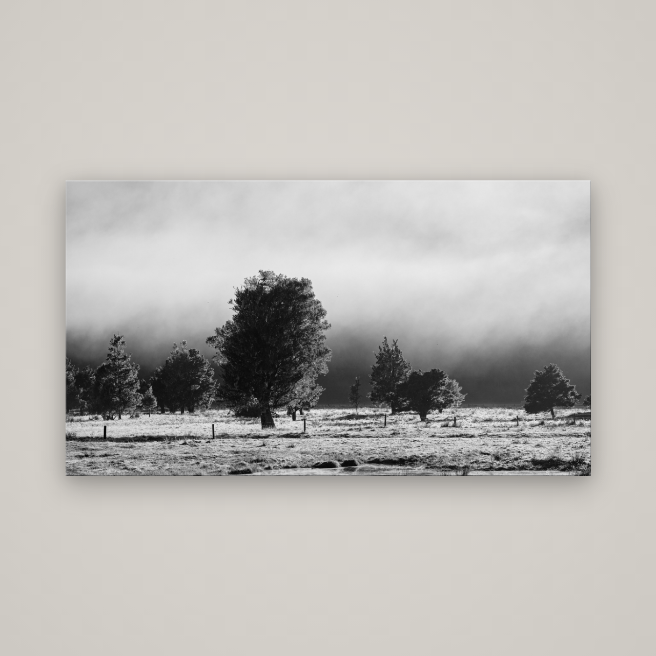 Morning Mist, Fox Valley — No frame, 160×90 cm. New Zealand fine art wall art by Stephen Milner.
