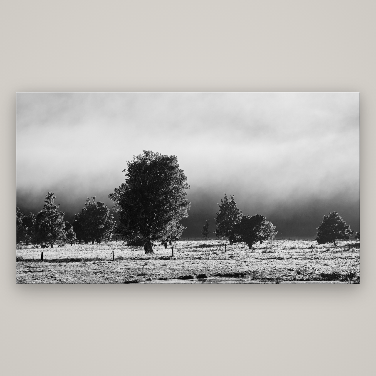 Morning Mist, Fox Valley — No frame, 196×110 cm. New Zealand fine art wall art by Stephen Milner.