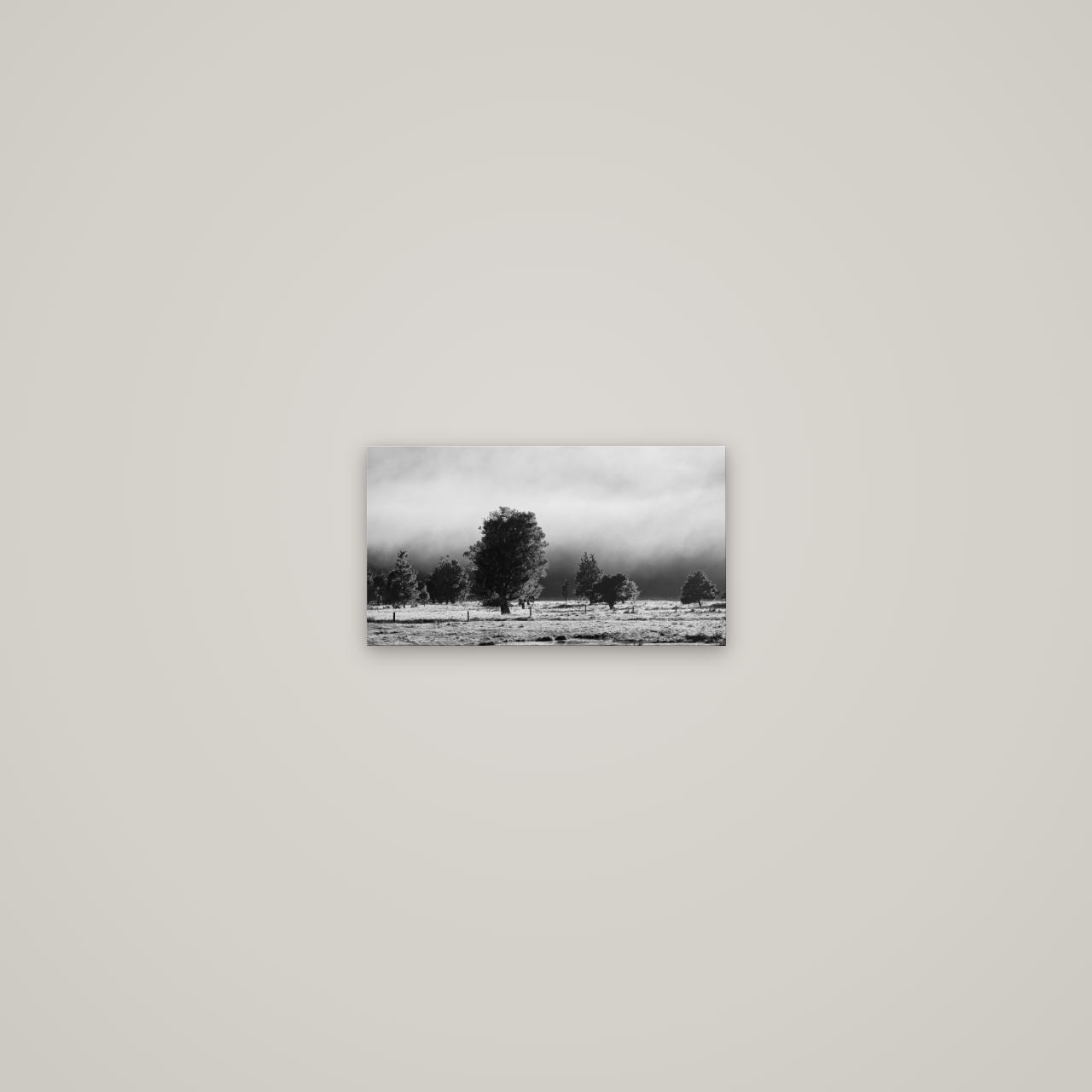 Morning Mist, Fox Valley — No frame, 27×15 cm. New Zealand fine art wall art by Stephen Milner.