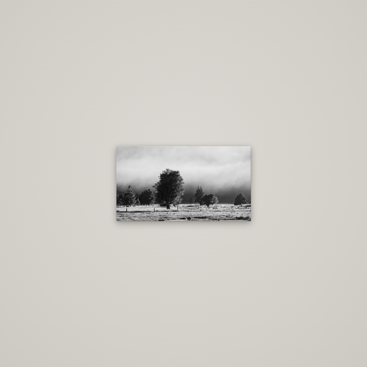 Morning Mist, Fox Valley — No frame, 36×20 cm. New Zealand fine art wall art by Stephen Milner.