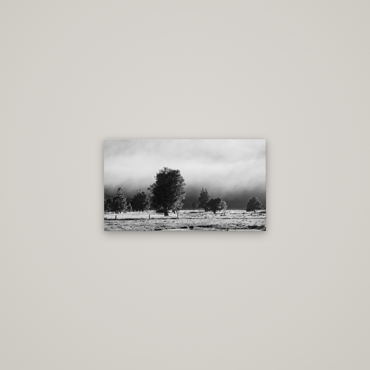 Morning Mist, Fox Valley — No frame, 53×30 cm. New Zealand fine art wall art by Stephen Milner.