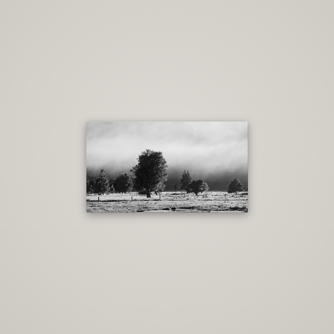 Morning Mist, Fox Valley — No frame, 64×36 cm. New Zealand fine art wall art by Stephen Milner.