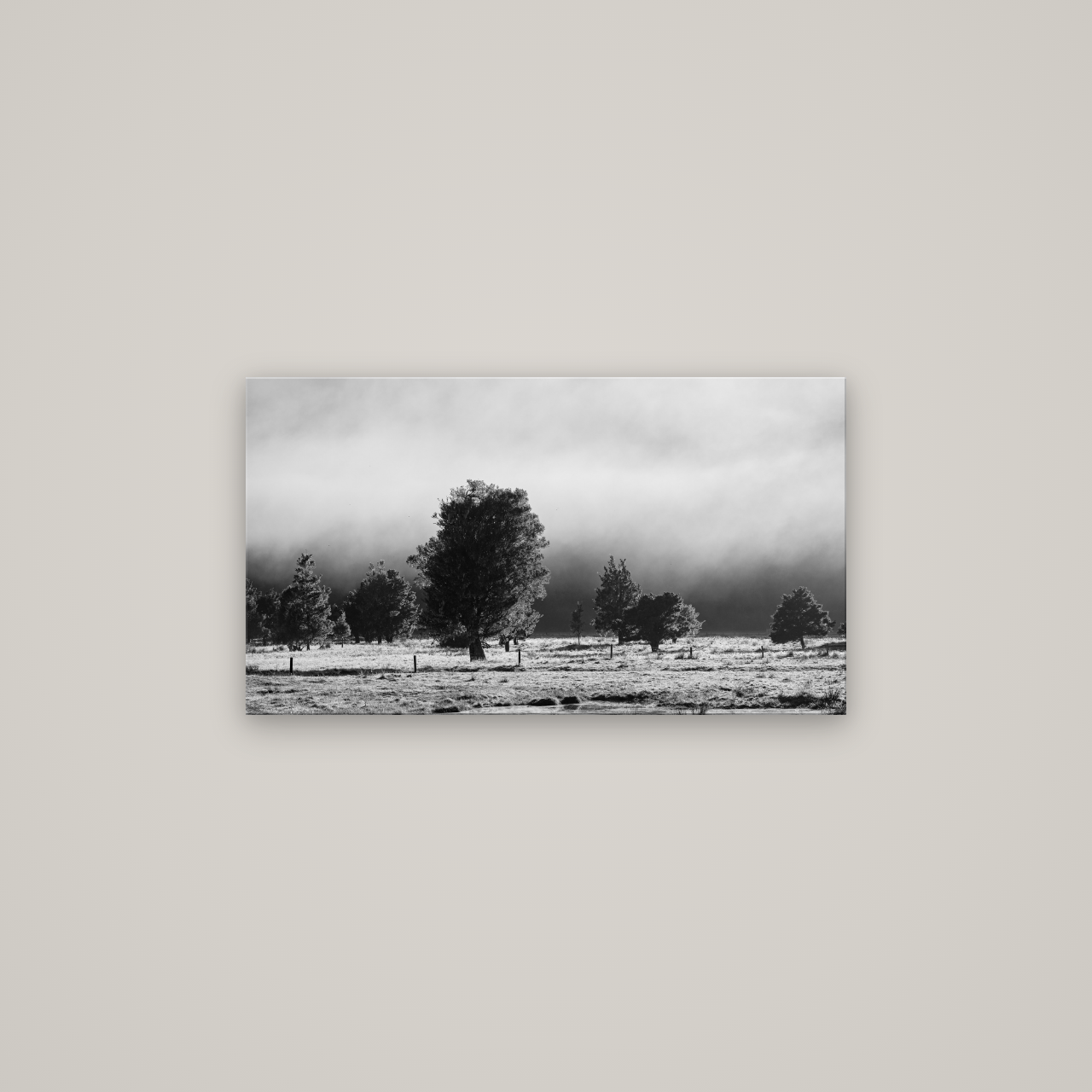 Morning Mist, Fox Valley — No frame, 80×45 cm. New Zealand fine art wall art by Stephen Milner.