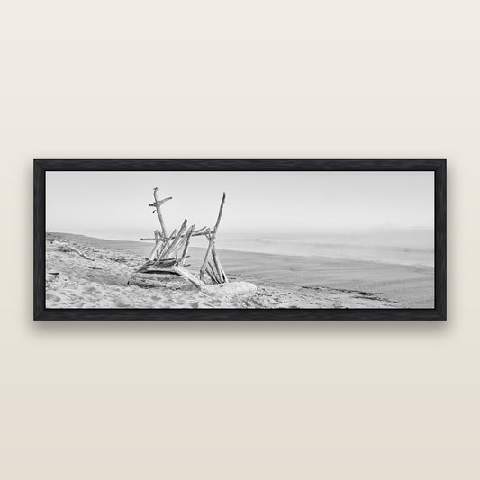 Natures Architecture, Whakatāne Beach, black and white framed metallic canvas print, Black frame. New Zealand fine art wall art by Stephen Milner.