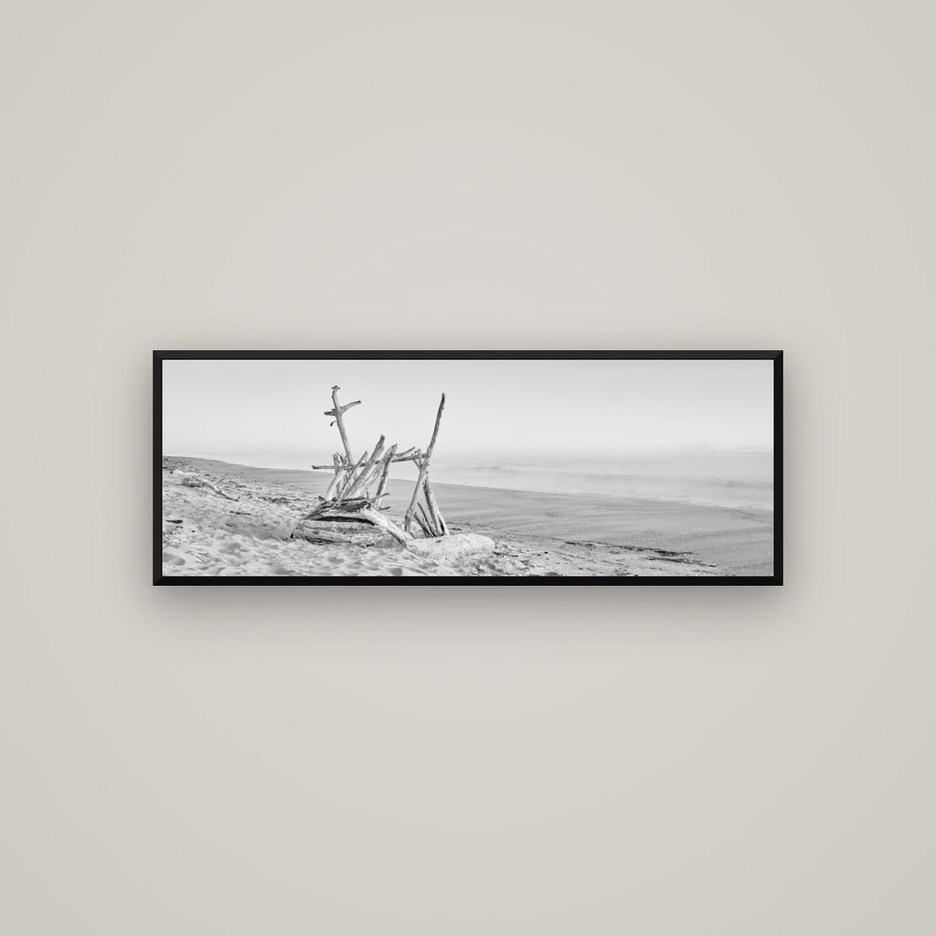 Natures Architecture, Whakatāne Beach — Basel Black Matte, 113×40 cm. New Zealand fine art wall art by Stephen Milner.