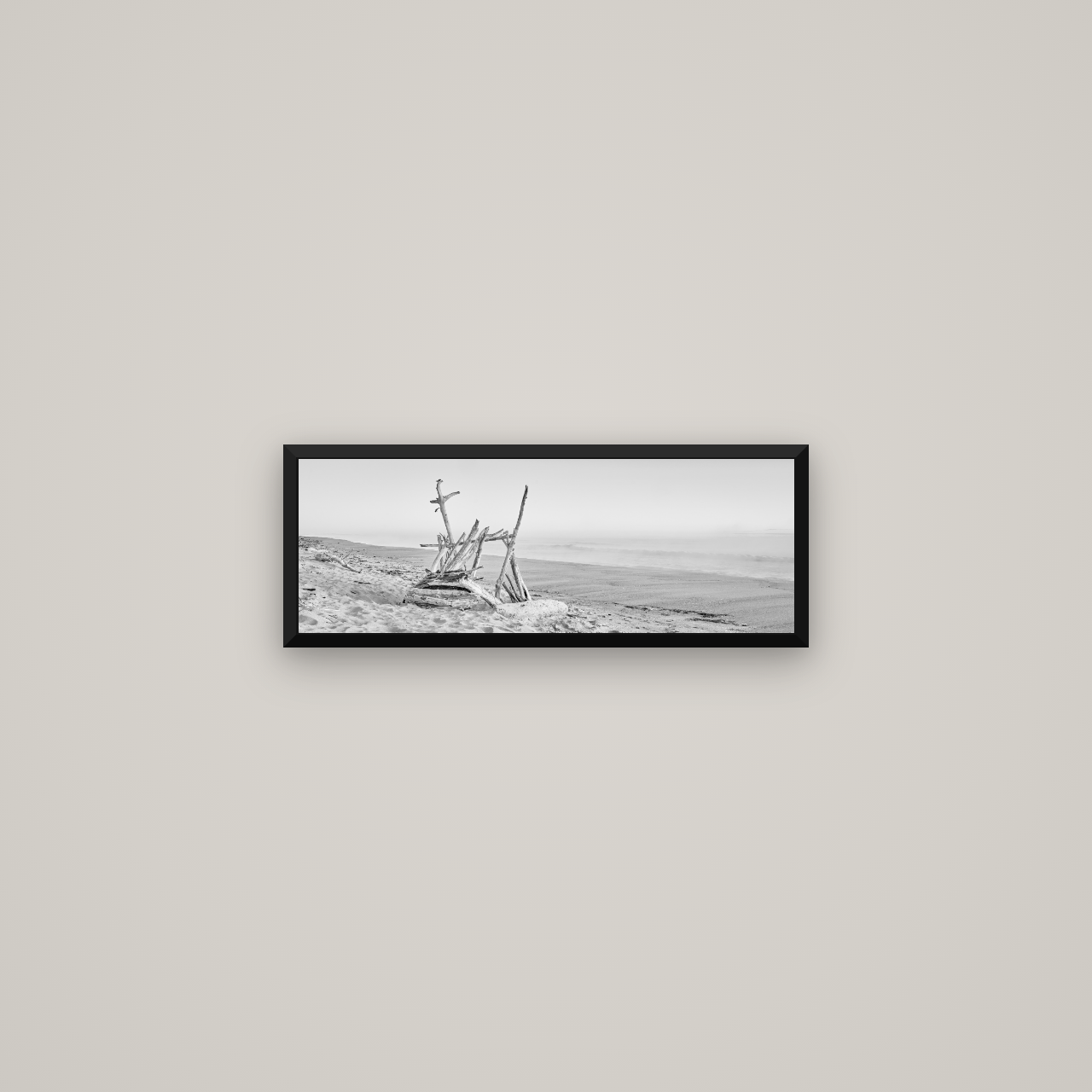 Natures Architecture, Whakatāne Beach — Basel Black Matte, 57×20 cm. New Zealand fine art wall art by Stephen Milner.