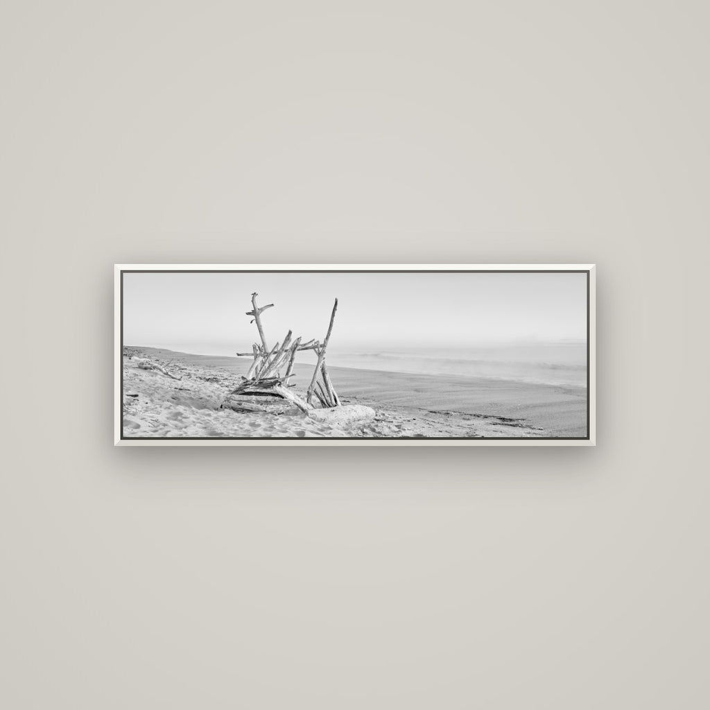 Natures Architecture, Whakatāne Beach — Basel White, 113×40 cm. New Zealand fine art wall art by Stephen Milner.