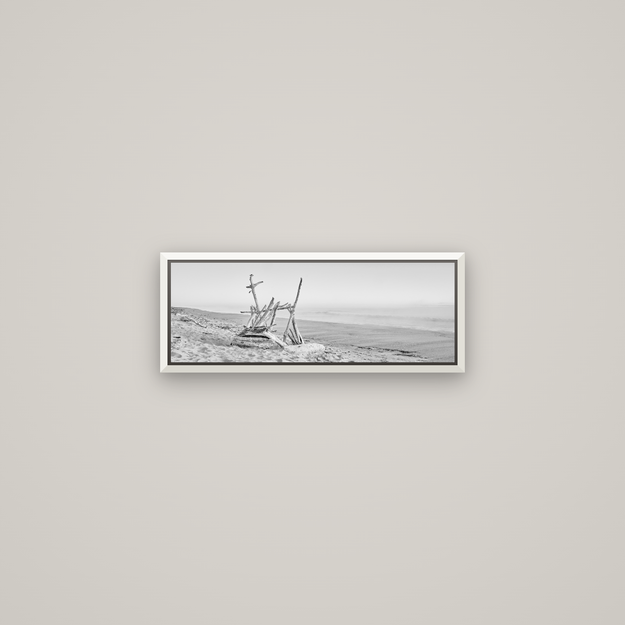 Natures Architecture, Whakatāne Beach — Basel White, 57×20 cm. New Zealand fine art wall art by Stephen Milner.
