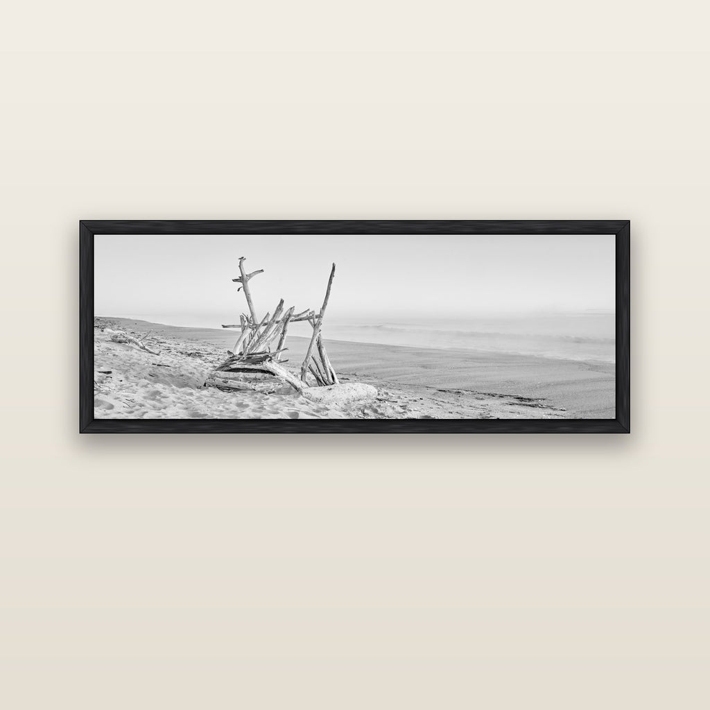 Natures Architecture, Whakatāne Beach — black float frame canvas, 152 × 56 cm. New Zealand fine art landscape wall art by Stephen Milner.