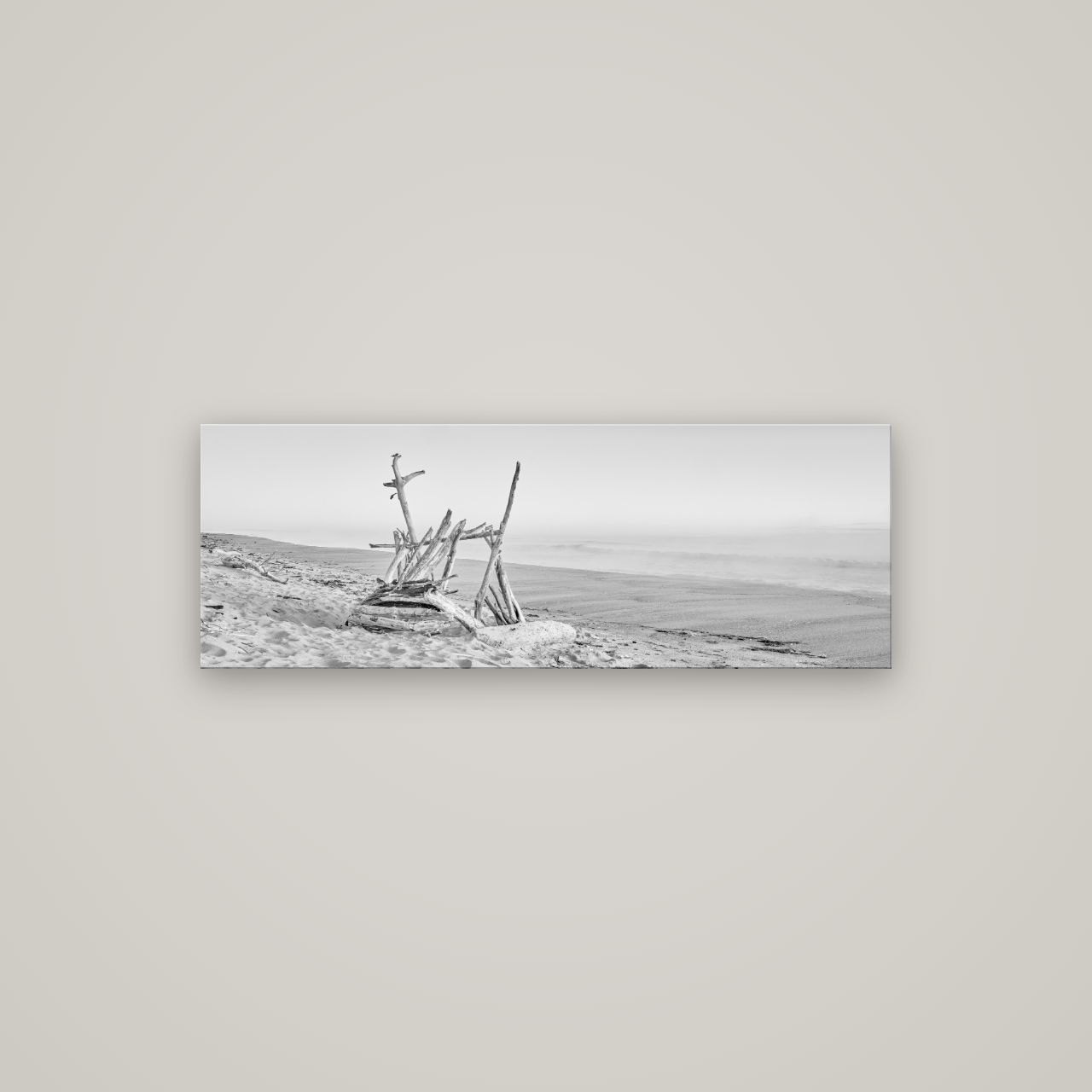 Natures Architecture, Whakatāne Beach — No frame, 113×40 cm. New Zealand fine art wall art by Stephen Milner.