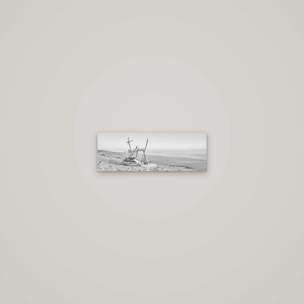 Natures Architecture, Whakatāne Beach — No frame, 34×12 cm. New Zealand fine art wall art by Stephen Milner.