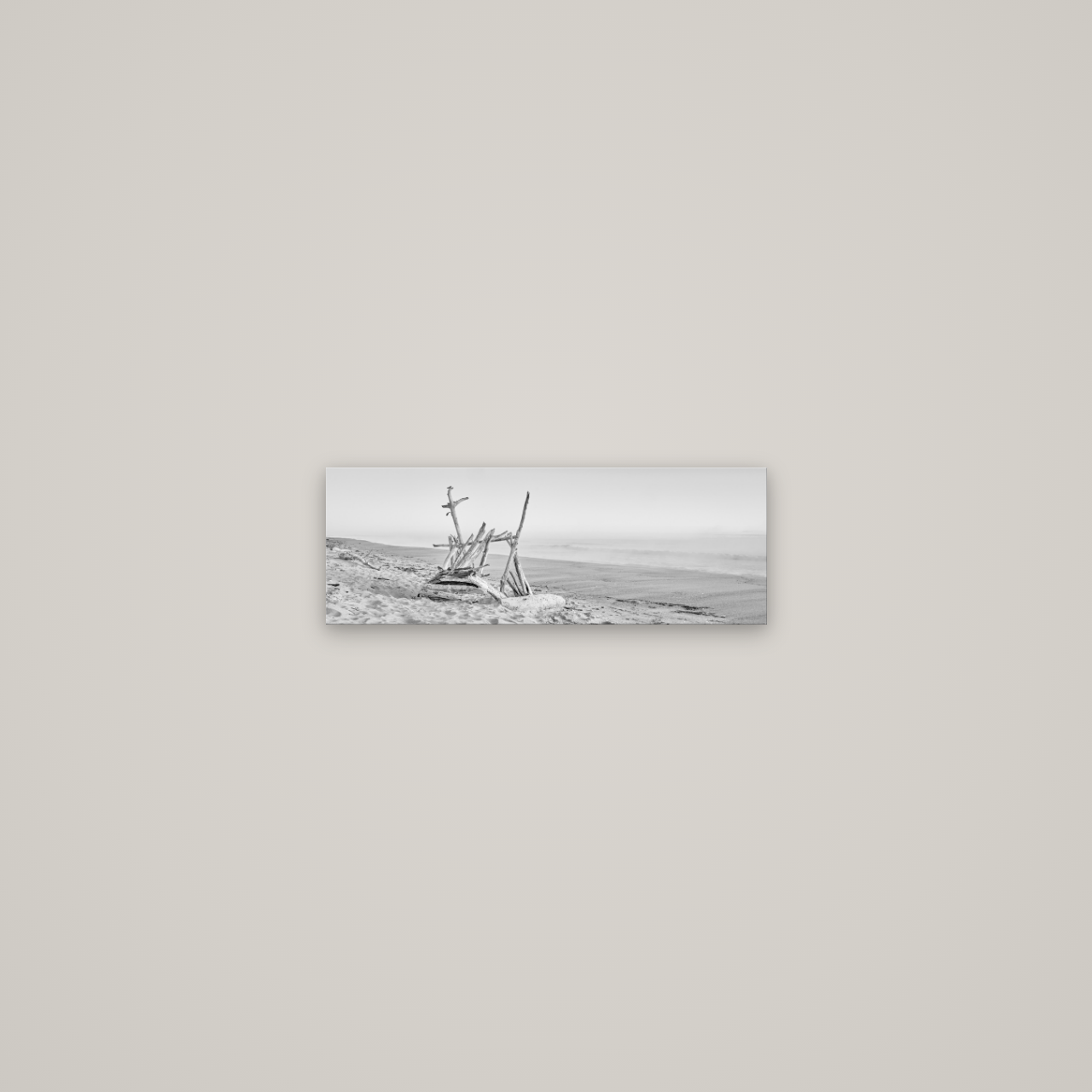 Natures Architecture, Whakatāne Beach — No frame, 45×16 cm. New Zealand fine art wall art by Stephen Milner.