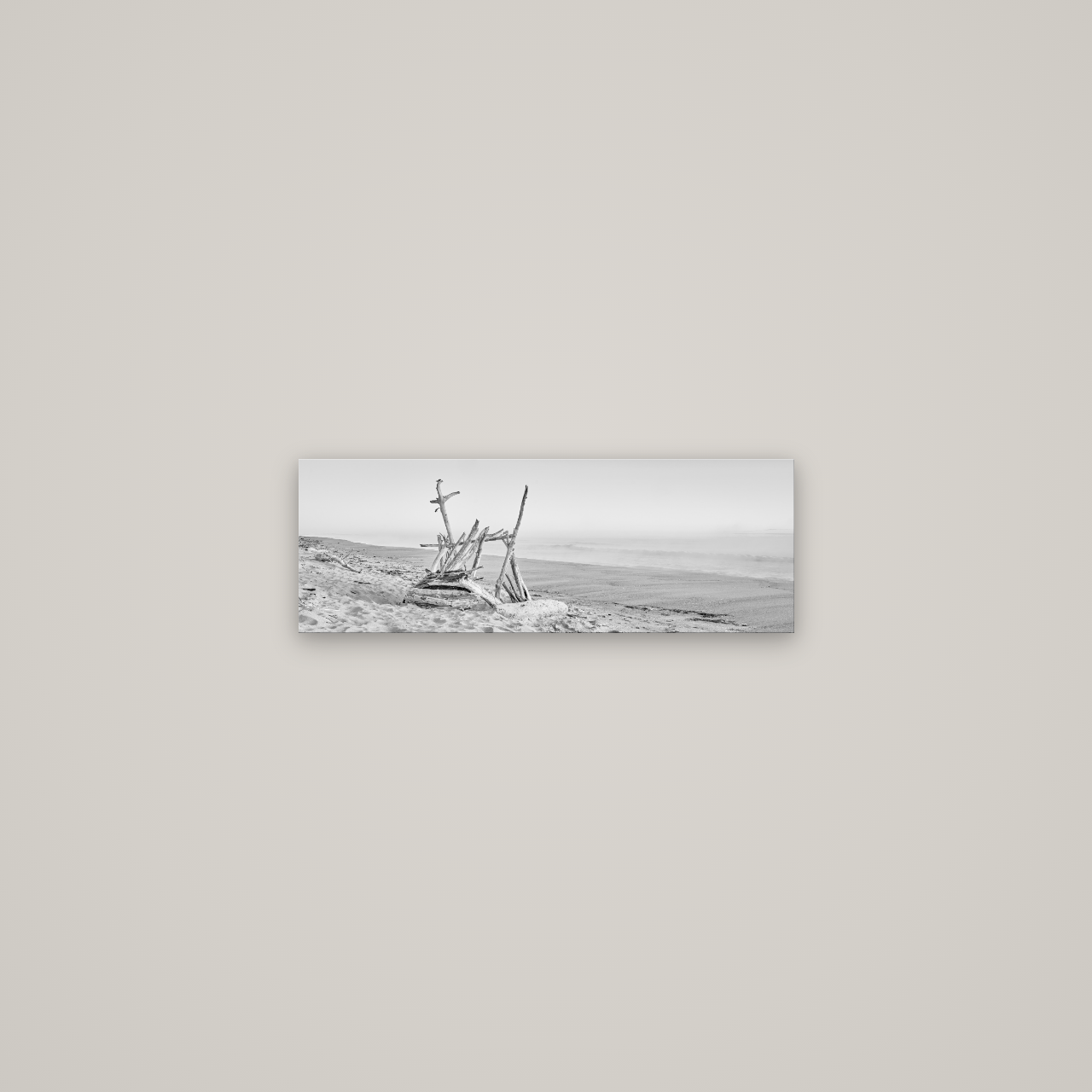Natures Architecture, Whakatāne Beach — No frame, 57×20 cm. New Zealand fine art wall art by Stephen Milner.