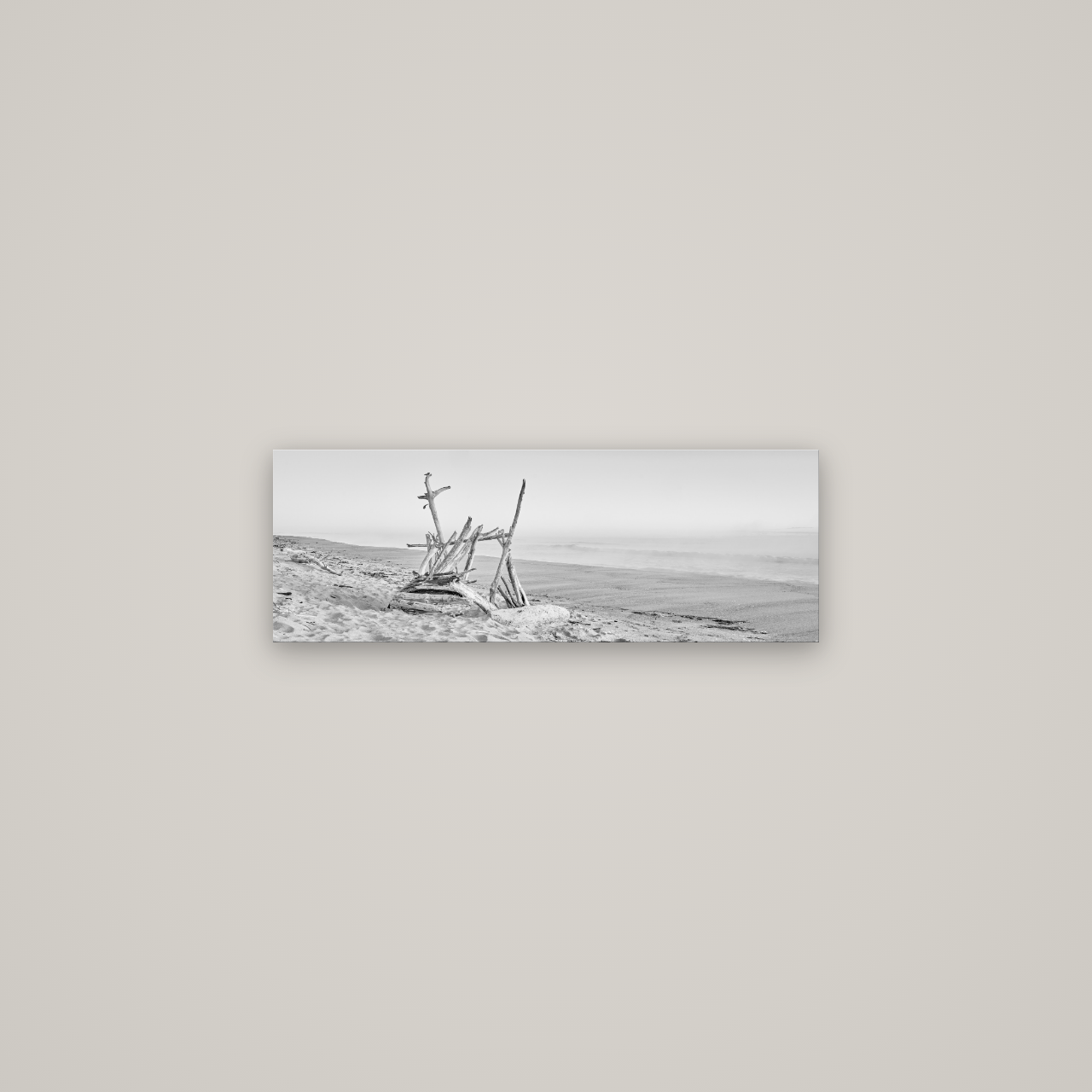 Natures Architecture, Whakatāne Beach — No frame, 68×24 cm. New Zealand fine art wall art by Stephen Milner.