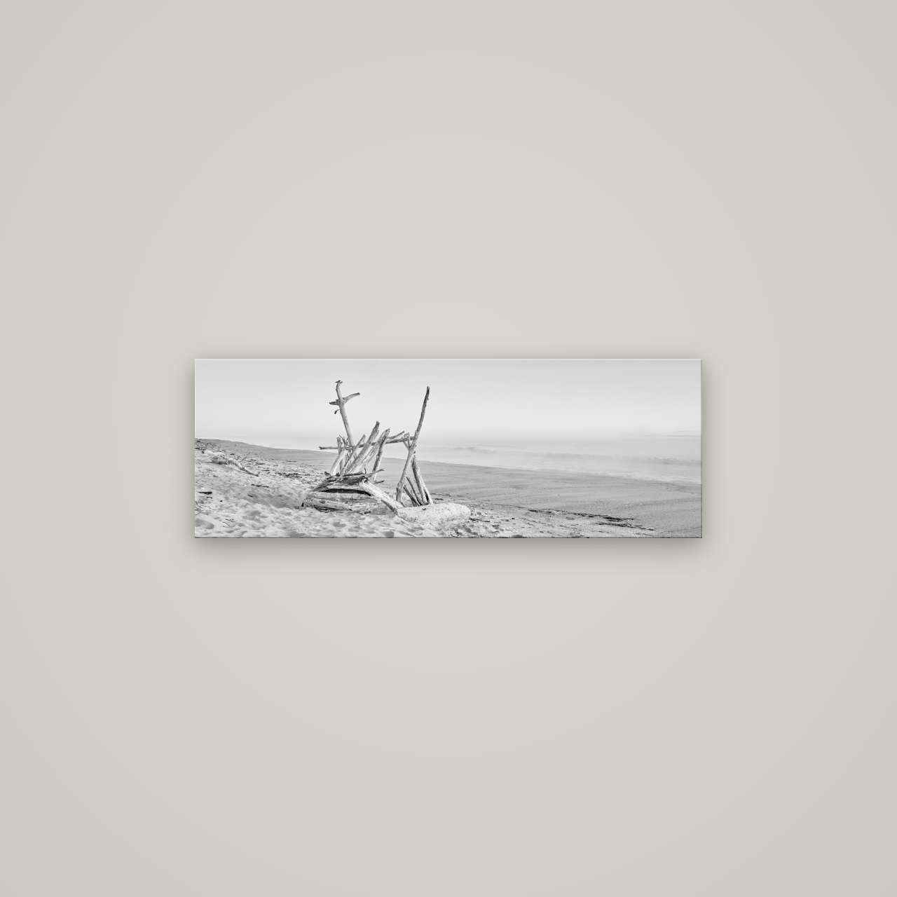 Natures Architecture, Whakatāne Beach — No frame, 85×30 cm. New Zealand fine art wall art by Stephen Milner.